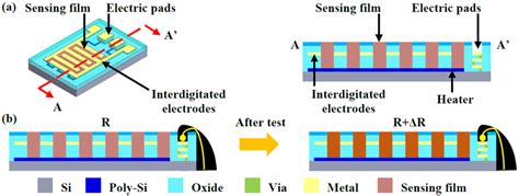 (a) The design concept of the gas-sensor, and (b) working principle of ...