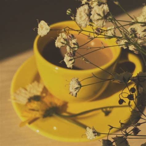 mustard yellow | Yellow aesthetic, Yellow aesthetic pastel, Yellow ...