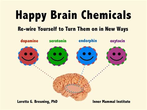 Happy brain chemicals: Dopamine, Serotonin, Oxytocin and Endorphin