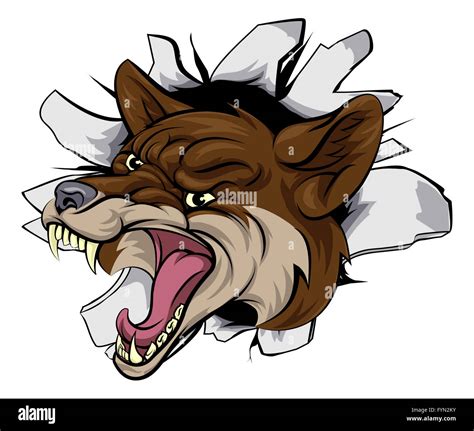 Coyote drawing hi-res stock photography and images - Alamy