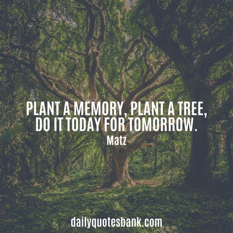 Pin on Flower Garden Quotes About Planting Trees