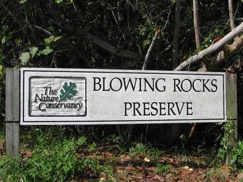 Blowing Rocks Preserve, a great experience | South Florida Living