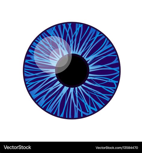 Iris eye Royalty Free Vector Image - VectorStock