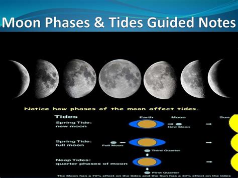 Moon Phases & Tides Guided Notes - ppt download | Moon phases, Guided ...