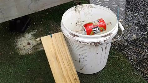 Diy Mouse Trap Bucket : 15 Best Homemade Mouse Trap Ideas That Really ...