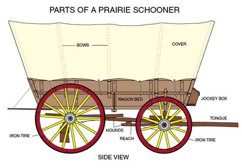 Diagram of a Covered Wagon with parts labeled | Covered wagon, Wagon ...