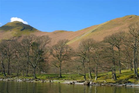 Loch Lomond Scotland stock photo. Image of loch, crisp - 15633912