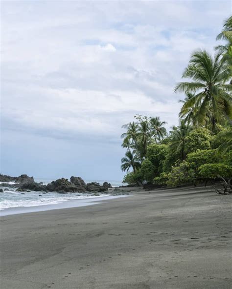 Drake Bay Costa Rica Travel Guide - Remote, Wild & Untouched