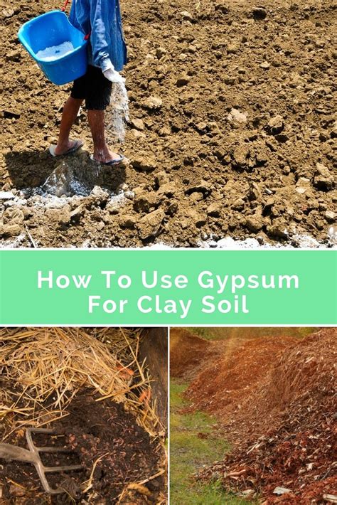 Having Troubles Building A Garden On Clay Soil? Know How To Use Gypsum ...