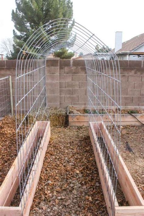 Pin by utopianplayersam on vegetable gardening | Diy garden trellis ...