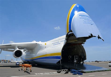 World's biggest cargo plane joins pandemic effort