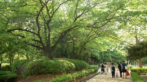 Yongsan Park Tours - Book Now | Expedia