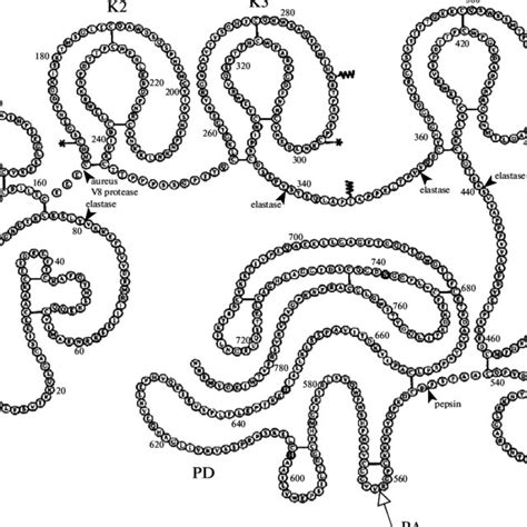 (PDF) Structure and Function of Plasminogen/Plasmin System