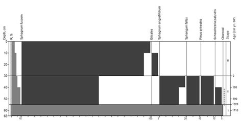 Macrofossil diagram for site 4. Stages correspond to paleo-communities ...