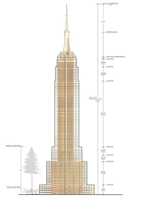 Empire State Building Dimensions Drawing at GetDrawings | Free download