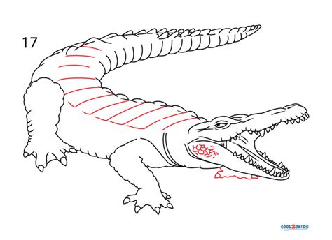 How To Draw A Crocodile Comment Dessiner Un Crocodile Easy Drawings ...