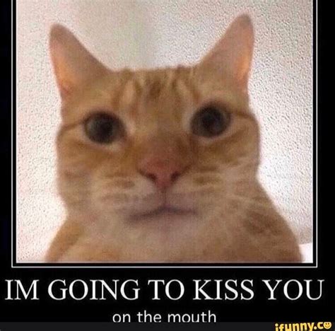 IM GOING TO KISS YOU - iFunny :) | Cute memes, Funny memes, Stupid ...