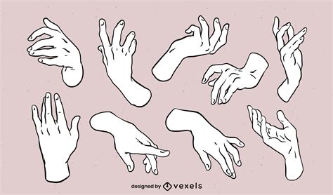 Hands Posing For Anatomy Drawing Set Vector Download