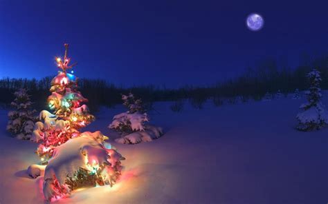 Winter Christmas Tree Wallpapers HD / Desktop and Mobile Backgrounds