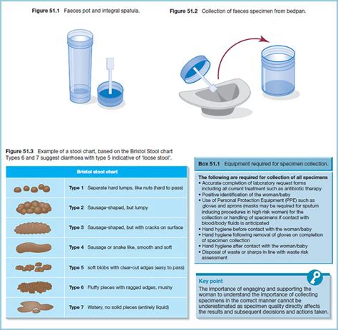 How Long Is A Stool Sample Good For: Important Guidelines