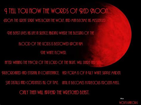 Words of red moon, friendship, quotes, pack, dog, lobo, arctic, black ...