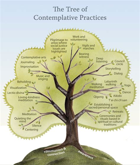 The Tree of Contemplative Practices | Contemplation, Self care ...