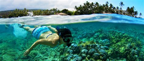 Kona Snorkel Gear Rentals | Kahalu'u Bay Surf & Sea