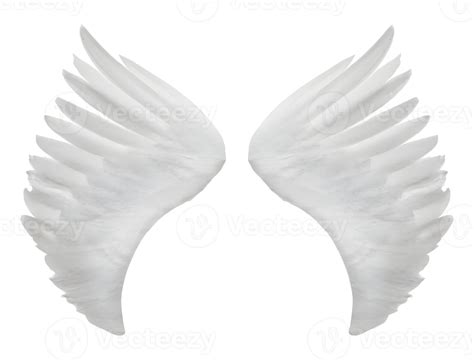 white angel wings. 21887833 PNG