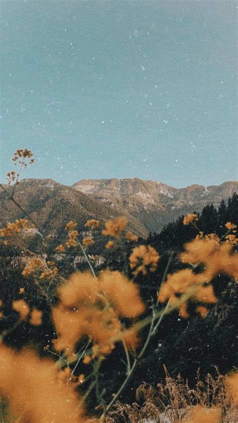 Nature Aesthetic Backgrounds Free Download