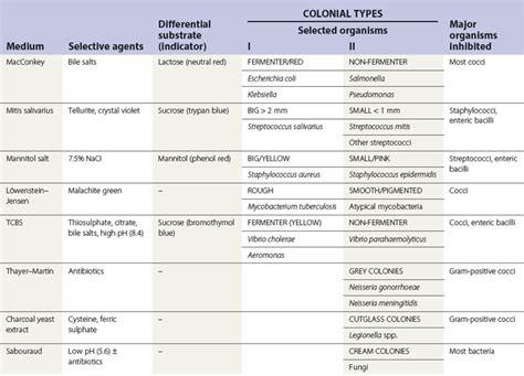 Microbiology For Dentistry - cuddsanj