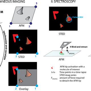 An illustration of three basic types of STED-AFM correlative microscopy ...