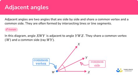 Adjacent Angles - Definition, Examples & Practice Questions