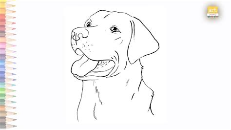 Lab Dog Drawing