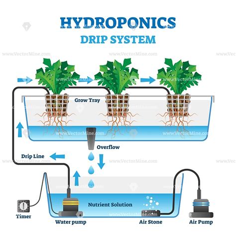 Hydroponics vector illustration – VectorMine | Hydroponics, Drip system ...