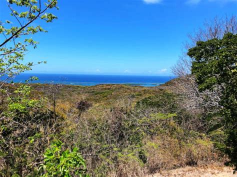 Hiking Guánica Dry Forest - Bosque Seco de Guánica | Discovering Puerto ...