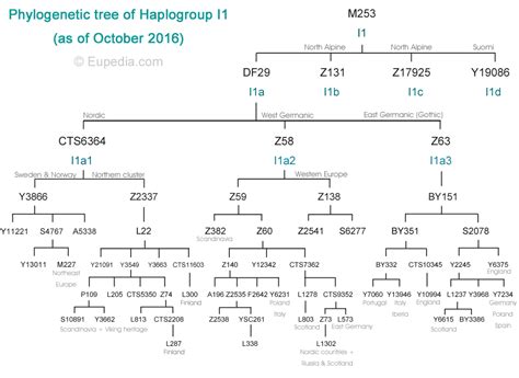 Phylogenetic tree of haplogroup I1 (Y-DNA) - Eupedia | Dna sequence ...