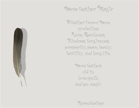 Dove Feather Magic | Feather magic, Feather, Feather meaning