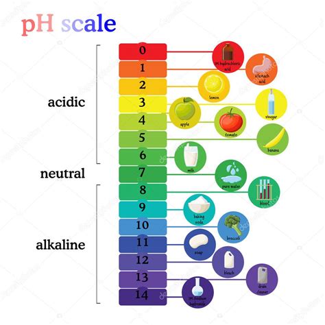 Diagram of ph scale | PH scale diagram with corresponding acidic or ...