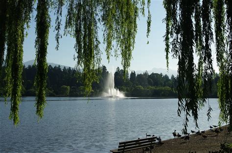 Early morning at Lost Lagoon, Stanley Park, Vancouver, BC | Flickr ...