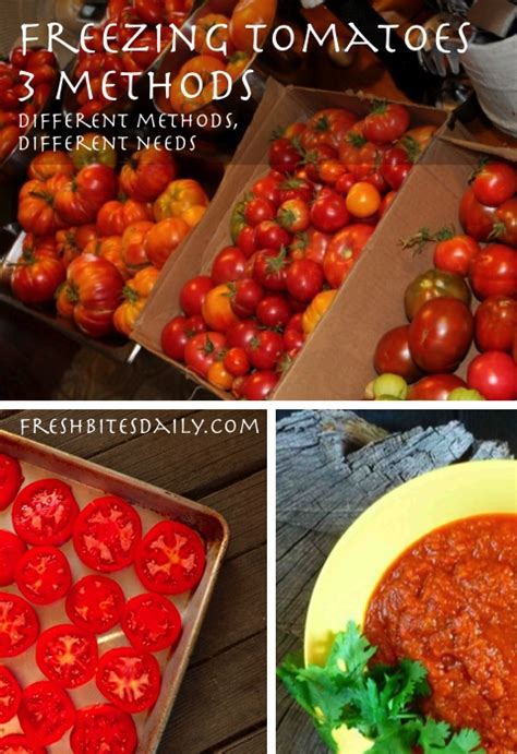 Freezing Tomatoes: 3 Ways To Preserve The Tomato Harvest – Fresh Bites ...