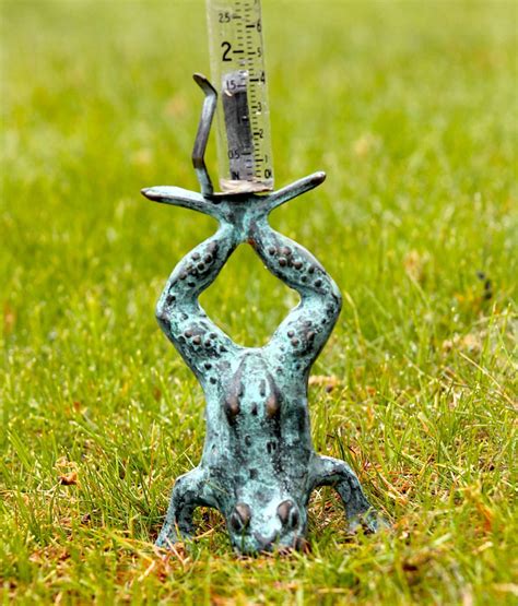 frog rain gauge – Dave Greschner Outdoor Journal