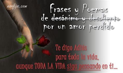 eslogan precio maldición poemas cortos de tristeza y amor Matemático ...