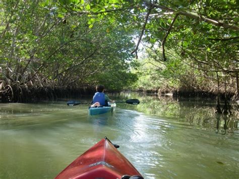 Kayaking Oleta River State Park Miami Florida USA