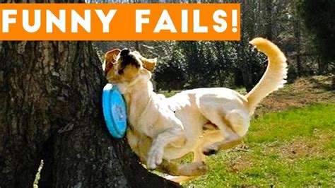 TRY NOT to LAUGH Animals FUNNY PET FAILS Compilation 2018 | Epic Pet ...