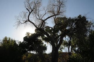 Arizona Hiking: DRAGONFLY TRAIL