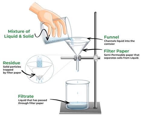 Filtration: Definition, Process, Diagram and Examples