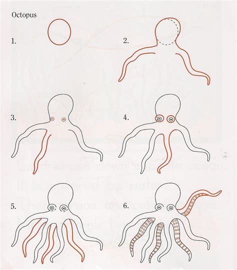 Compassion Family: How to Draw an Octopus