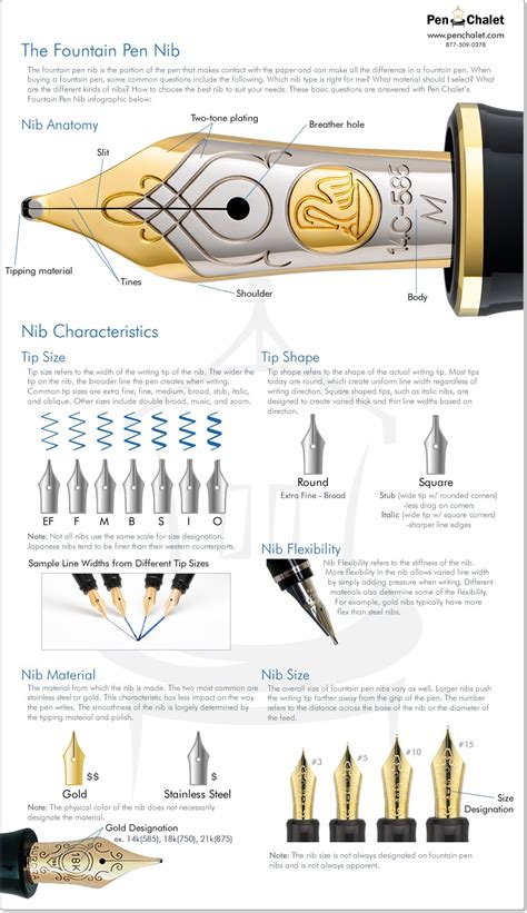 Fountain Pen Nib Infographic by Pen Chalet