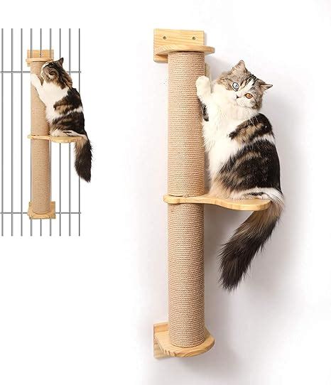 Amazon.com : FUKUMARU Cat Activity Tree with Scratching Posts, Wall ...