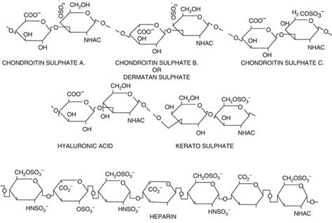 Mucopolysaccharides, Water and Electrolytes of Human Fetal Organs ...